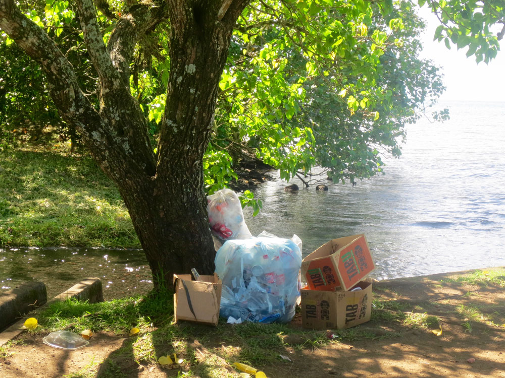 Photo de déchets au bord de la route à Vaima